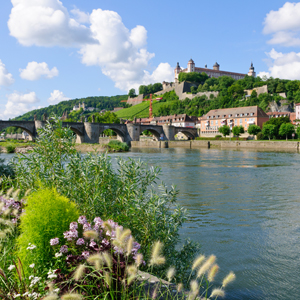 The Romantic Road:  Wurzburg, Rothenburg ob der Tauber, Augsburg, Fussen, and Munich