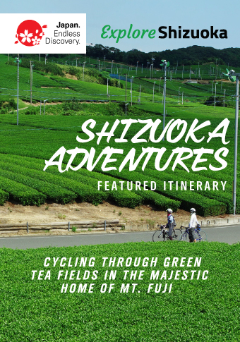 Shizuoka Adventures