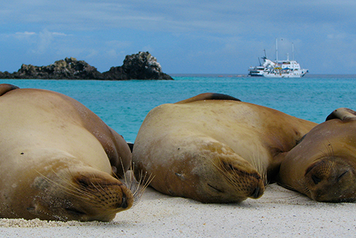 Galapagos