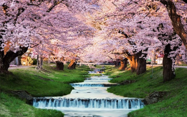 Avanti Destinations & Japan National Tourist Org Unveil New Travel Advisor Tools