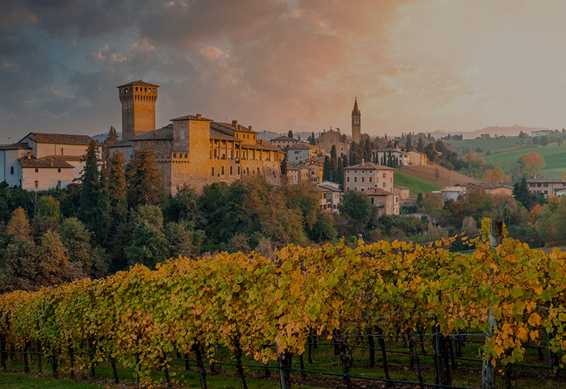 Special Interest Itinerary: Food and Wine